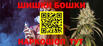 мдпв Боровичи