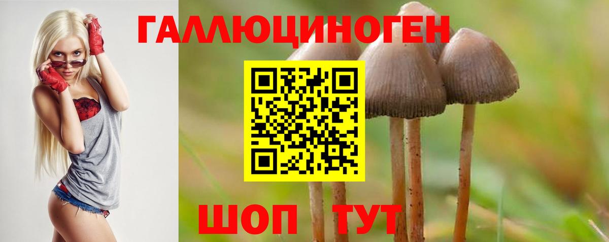 Псилоцибиновые грибы Psilocybe  Вход с VPN  Альметьевск 